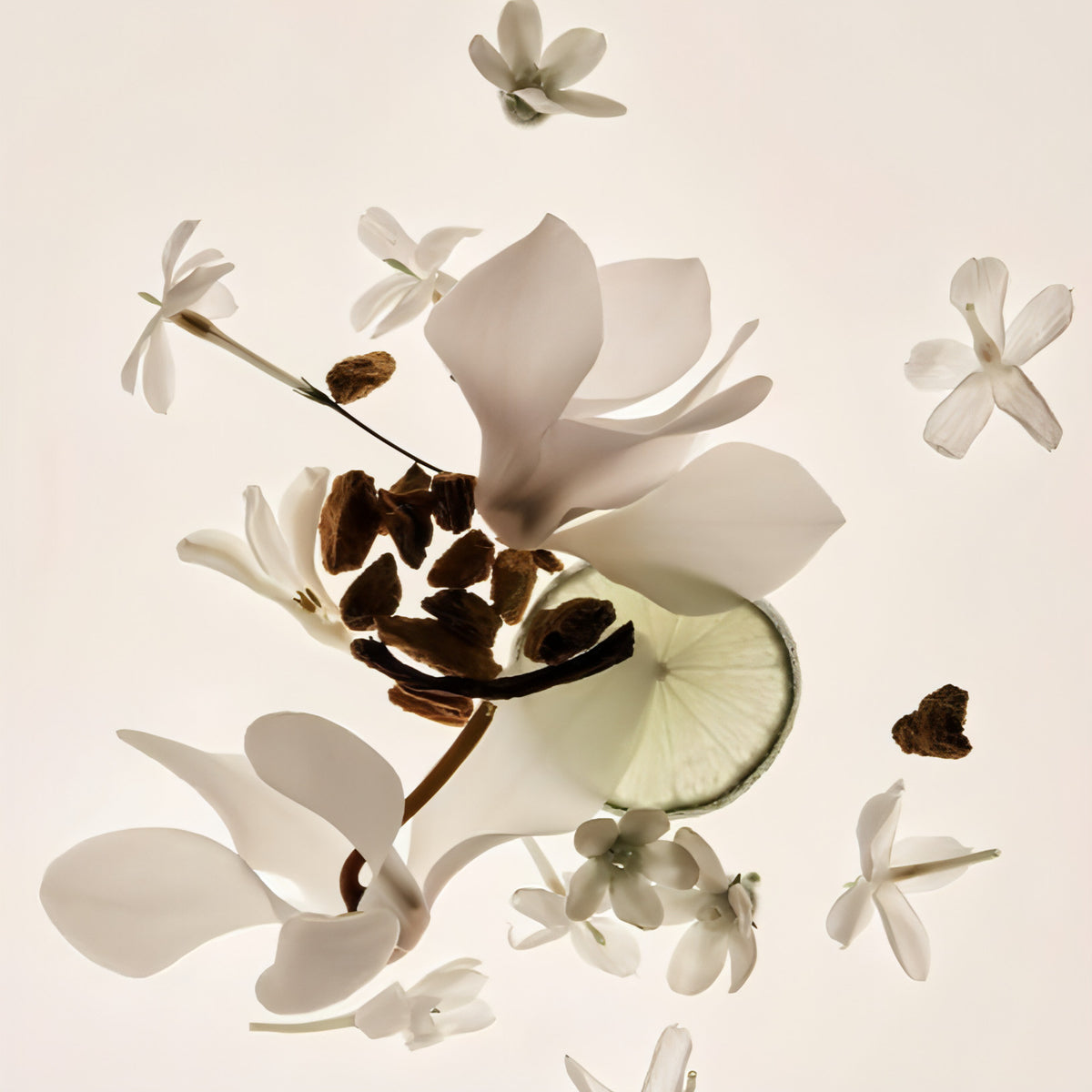 Vanilla Skin - Alkoholfreies Parfüm Lasting Missing Person Eau De