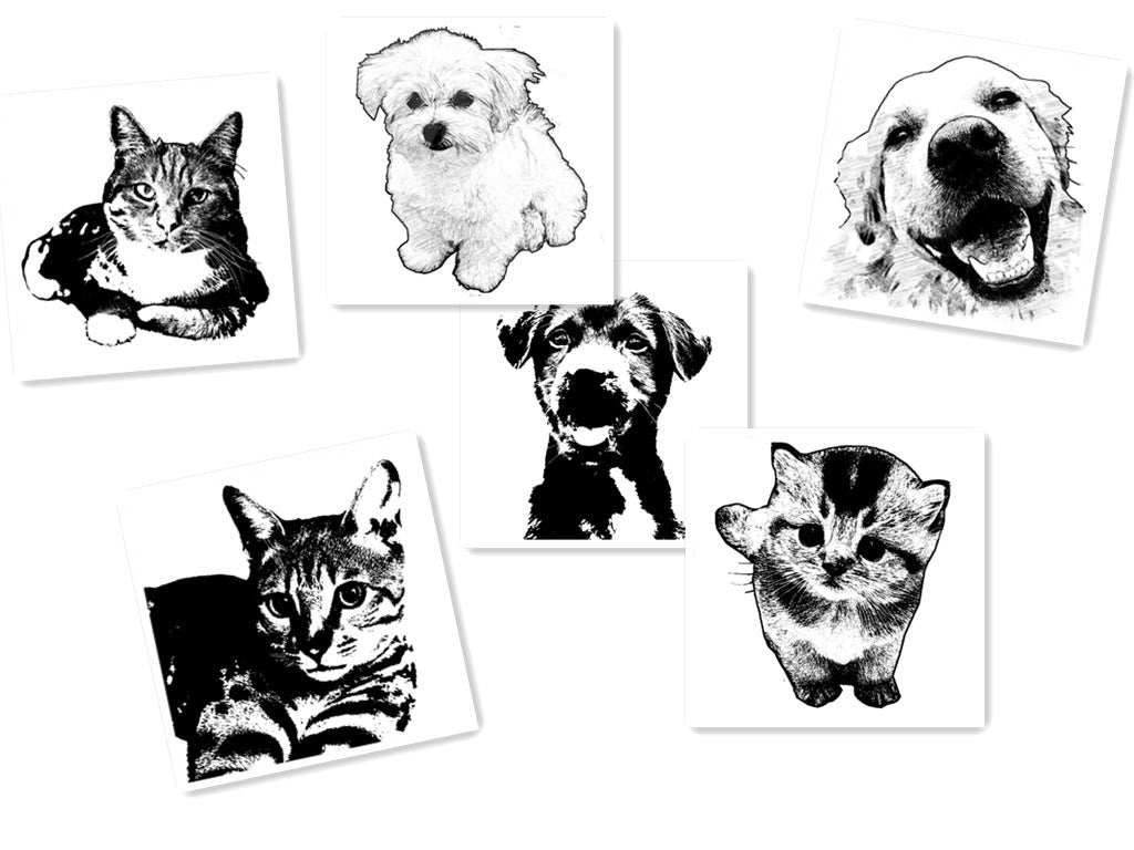 Custom Engraved Pet Photo & Name Keychain – A Forever Memory of Your