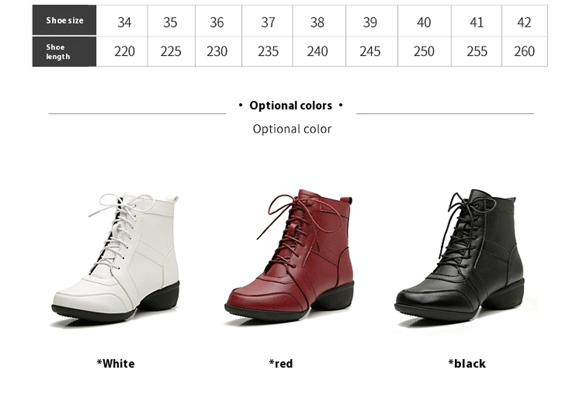Modern Dance Boot – 4 Seasons Edition - enhanced image 1