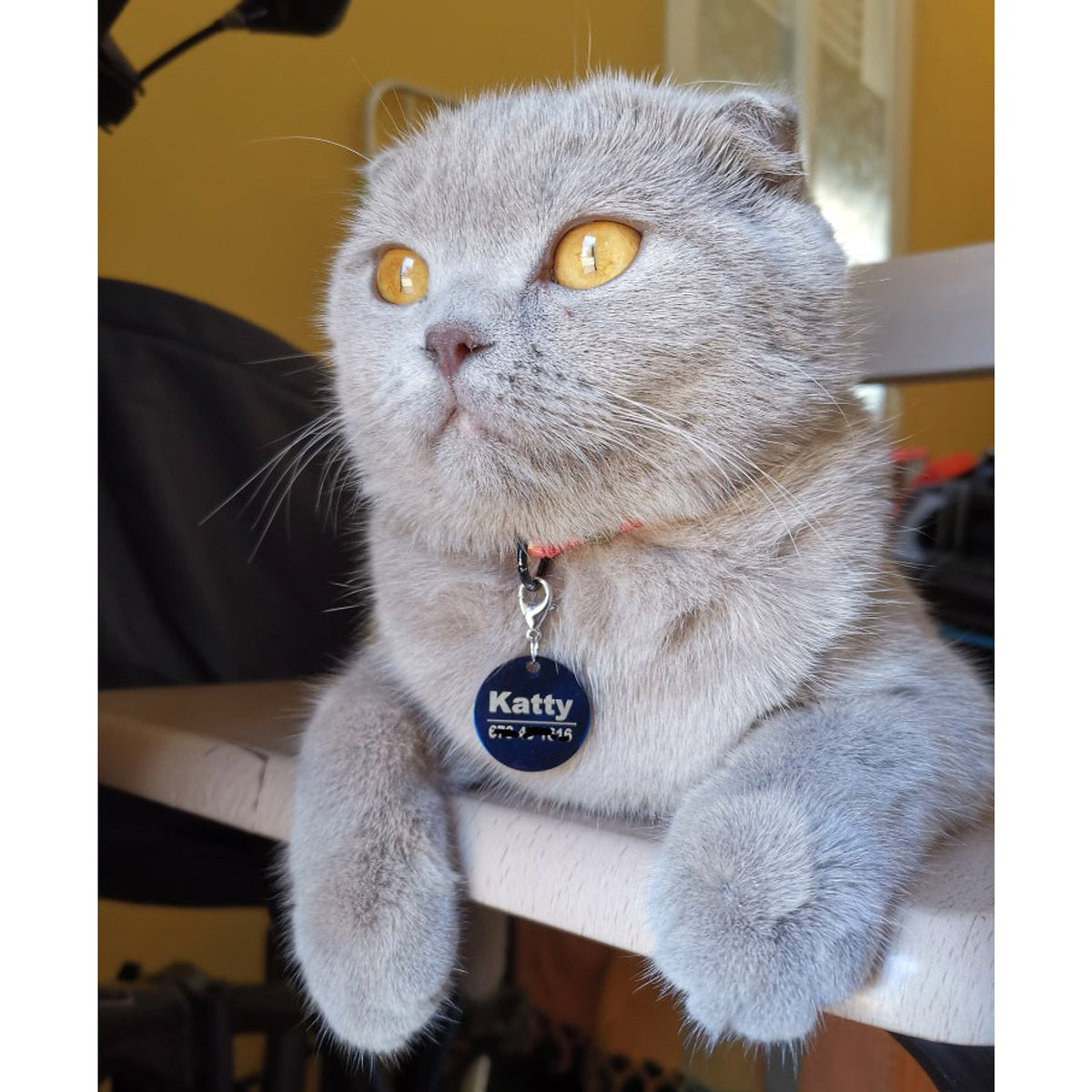 Custom Engraved Pet ID Tag – Personalized Dog & Cat Name Tag - enhanced image 2