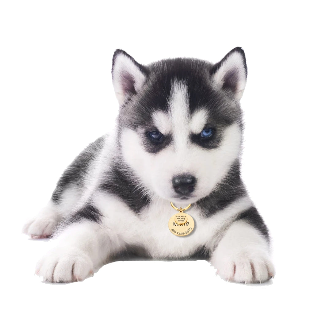 Personalized Pet ID Tag – Safe & Stylish for Dogs & Cats - enhanced image 3