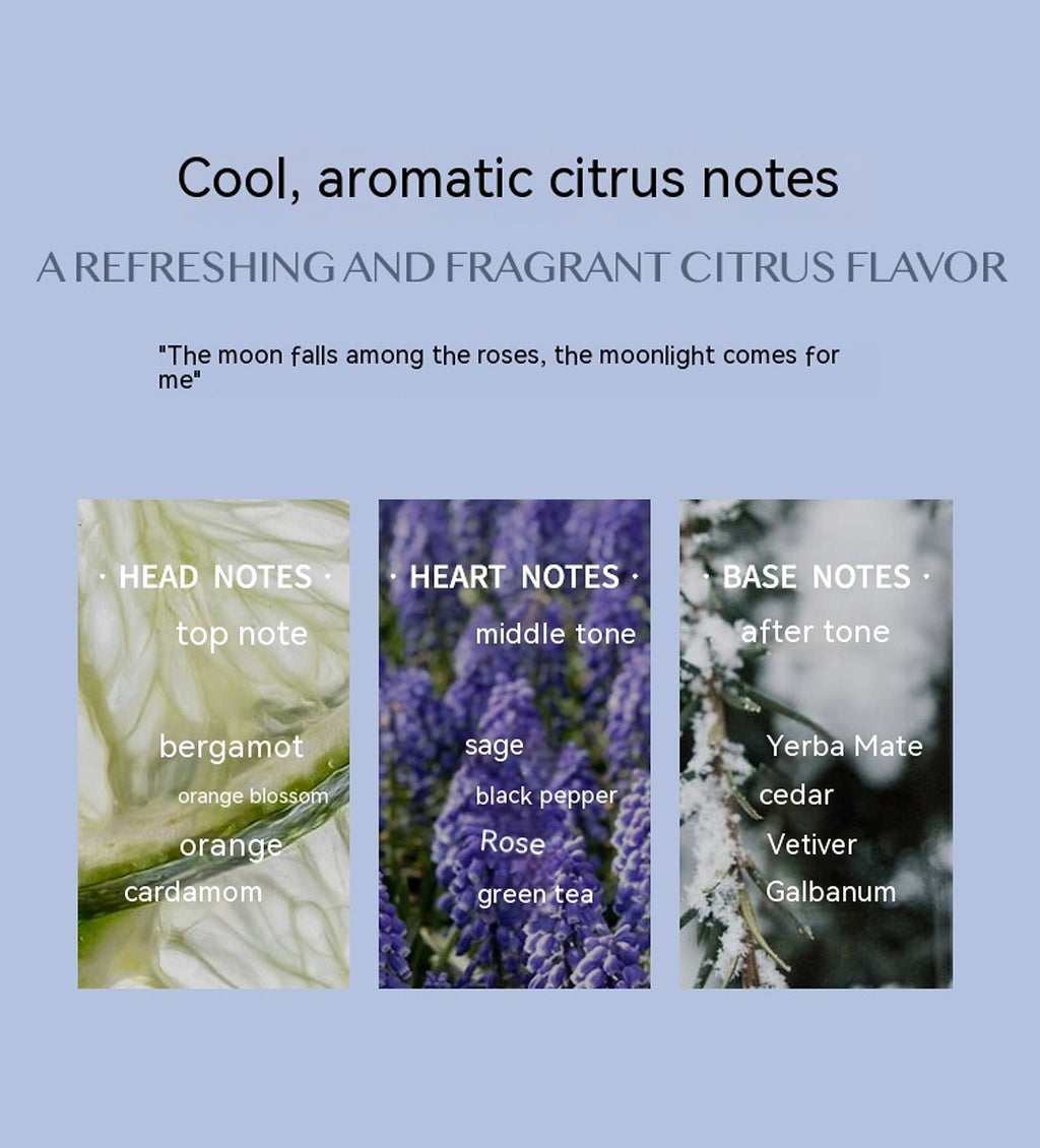 Aromatic Citrus – Moonlight Elegance in a Bottle - enhanced image 5