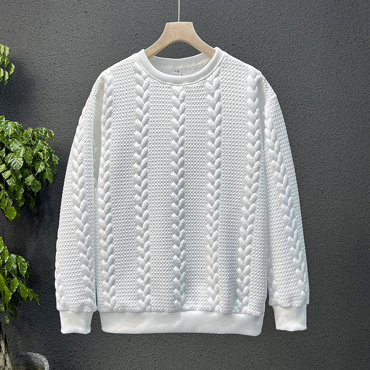 High Sense Internet Hot Fashion Brand Brushed Hoody Men - enhanced image 5