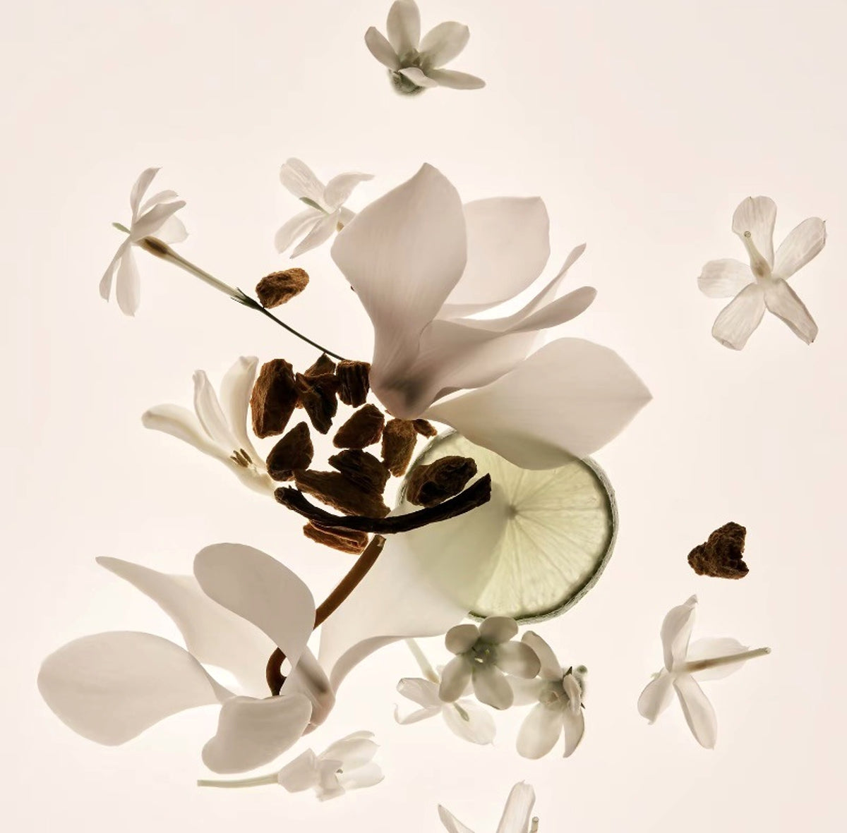 Vanilla Skin - Alcohol-free Perfume Lasting Missing Person Eau De - enhanced image 5