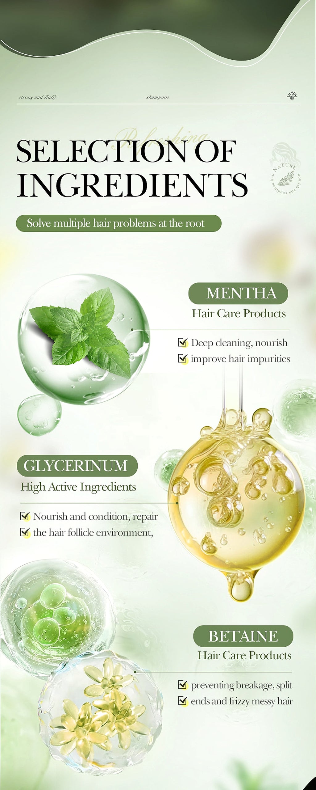Rosemary Mint Shampoo – Refresh. Strengthen. Naturally Clear. - enhanced image 6