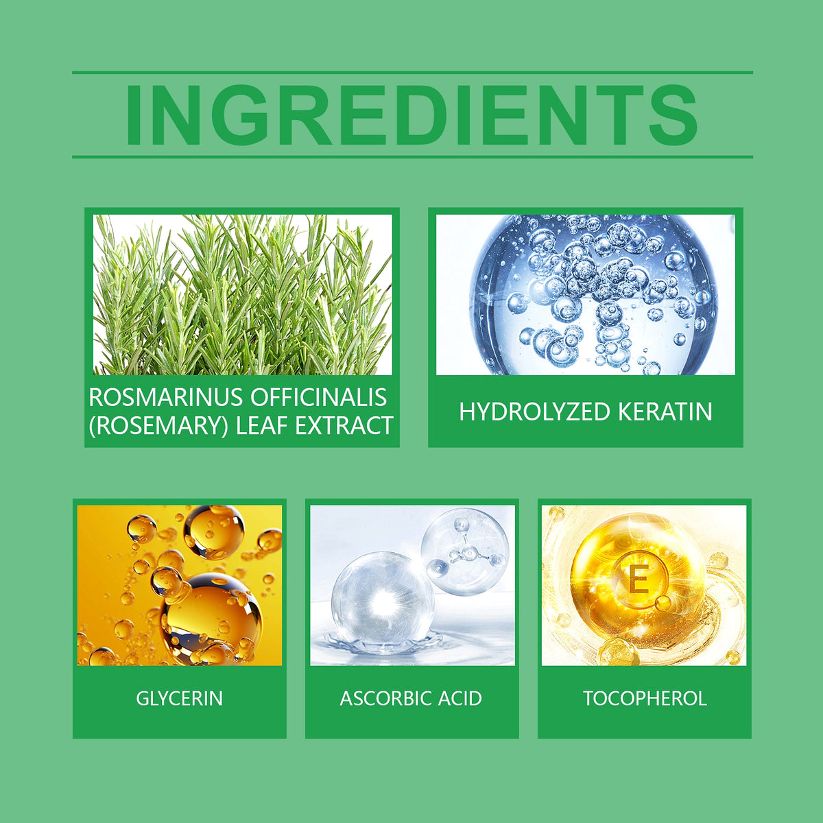 Hoegoa™ Herbal Essence Shampoo – Rosemary-Infused Growth & Control - enhanced image 8