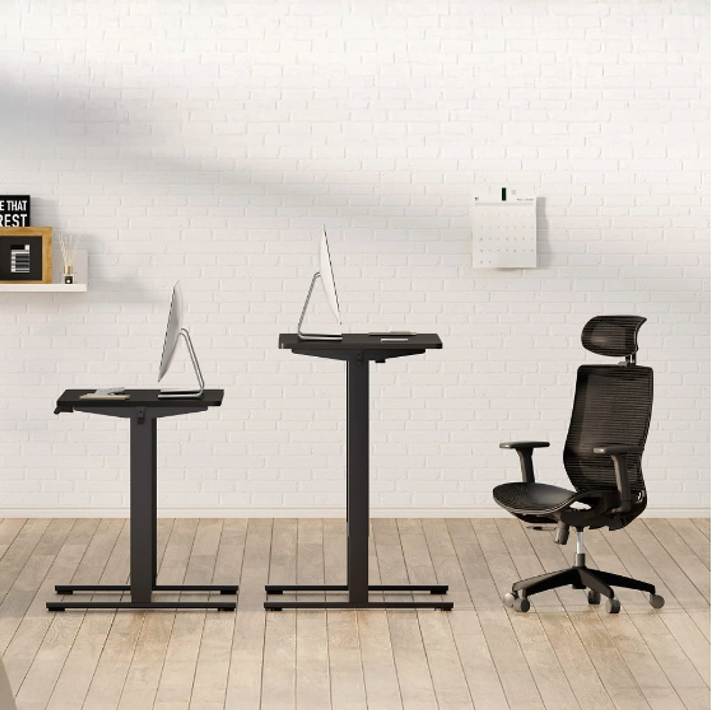 ErgoFlex™ – Electric Standing Desk 55" x 28" with Dual Motor & Memory Panel (US Warehouse) - enhanced image 17